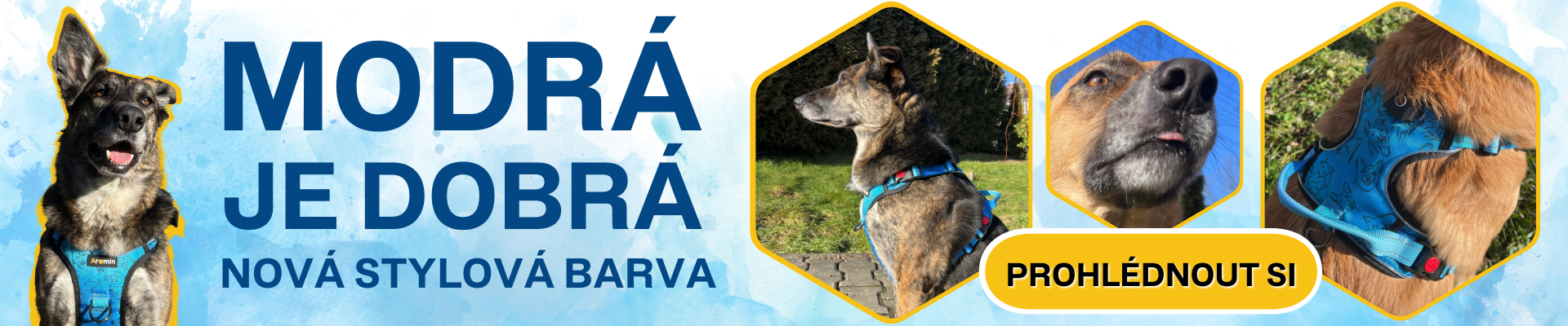 Nová barva svítícího postroje LumiPaws
