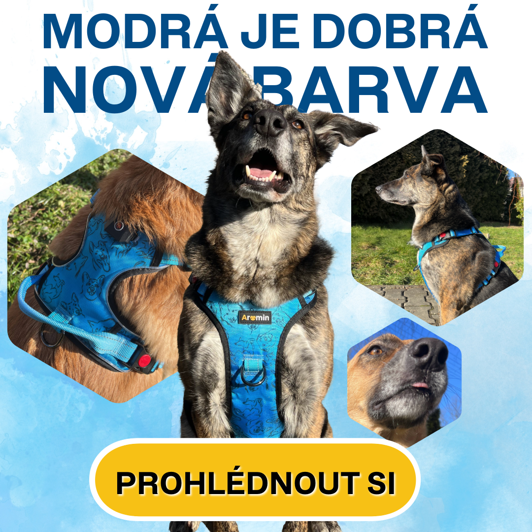 Modrá barva postroje LumiPaws