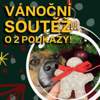 📢 Vánoční soutěž o 2 POUKAZY 🎁 Robina štekla a tak bude! Letos rozdáváme dárky taky 🐕🔥 Je to jednoduché, soutěž má 3...