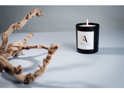 Svíčka Buddha's Spiritual Journey