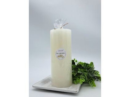 2024 b.orchidej V200