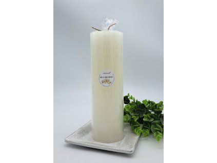 2024 b.orchidej V250