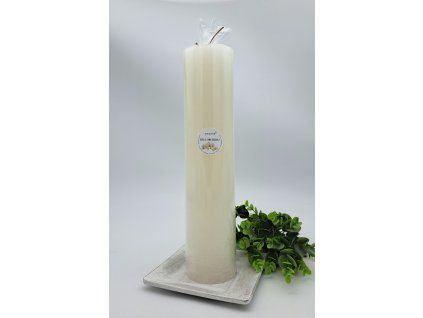 2024 b.orchidej V350