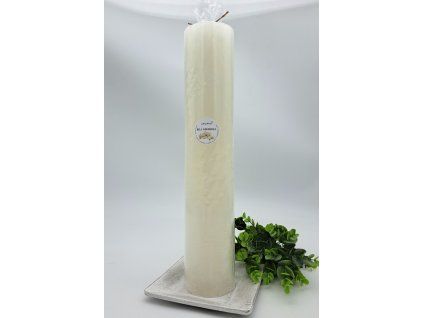 2024 b.orchidej V400