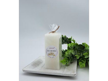 2024 b.orchidej H110