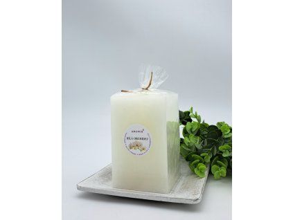 2024 b.orchidej H120