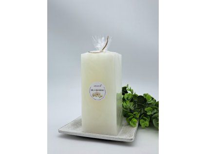 2024 b.orchidej H170