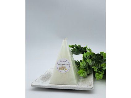 2024 b.orchidej J110