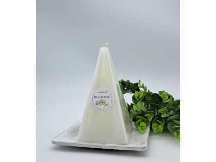 2024 b.orchidej J165