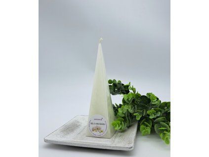 2024 b.orchidej J175