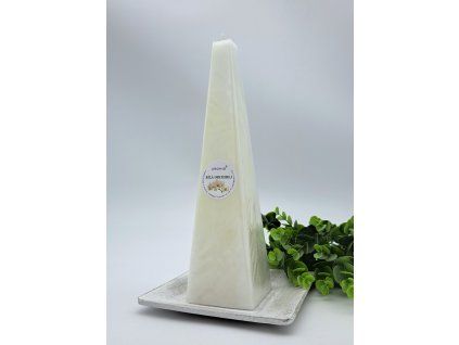 2024 b.orchidej J260