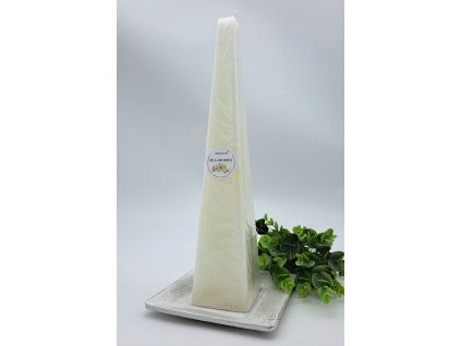 2024 b.orchidej J340