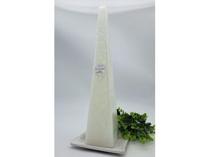 2024 b.orchidej J420