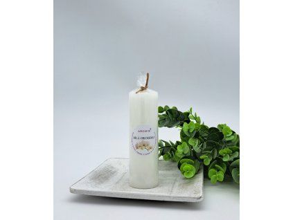 2024 b.orchidej V120