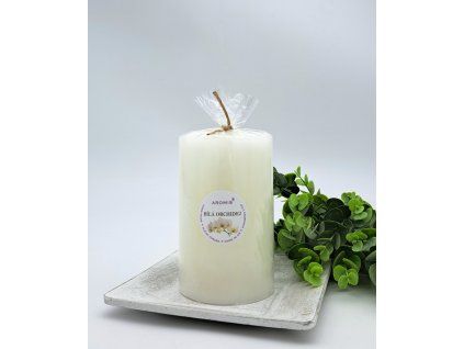 2024 b.orchidej V125