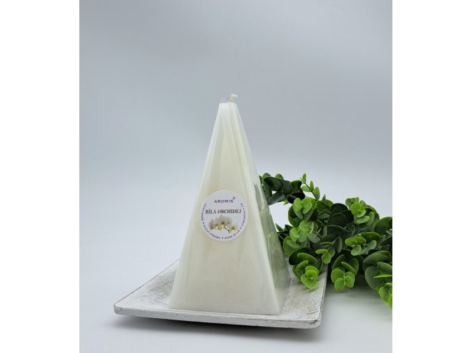 2024 b.orchidej J165