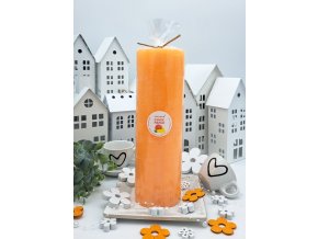 2024 mango V250