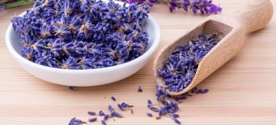 Levandulové novinky - aroma a sušený květ