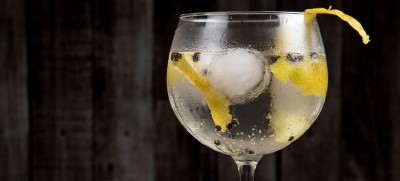 Recept na domácí gin s tonikem