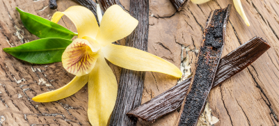 Vanilkový lusk od A do Z