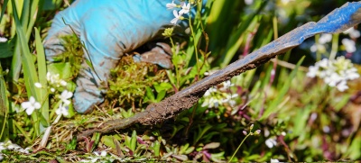 Hubení plevele octem a solí