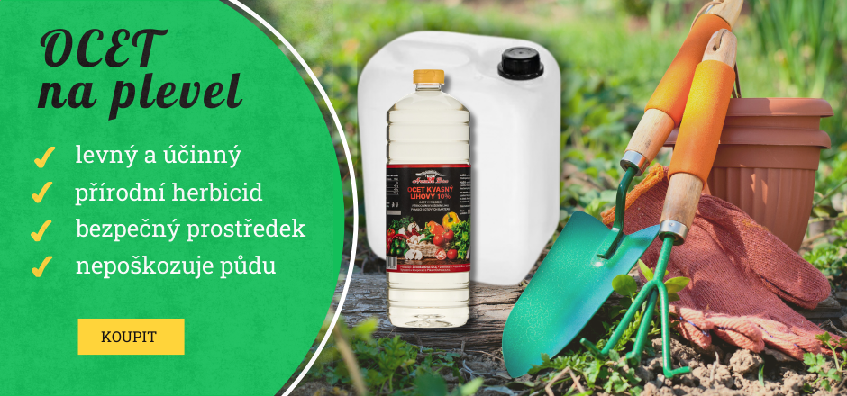 Ocet na plevel