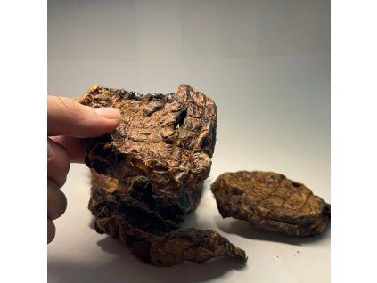 3013 hovezi plice 250g