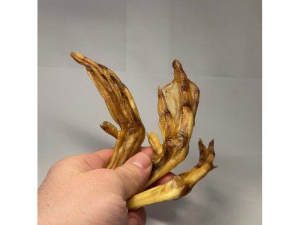 3031 kachni paraty 1ks