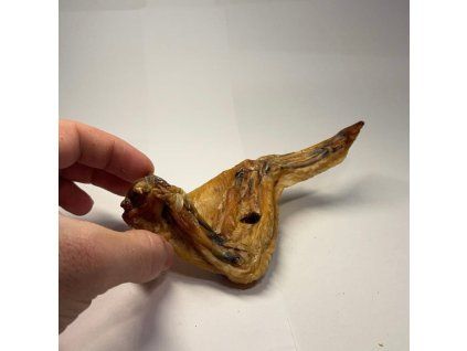 3046 kureci kridlo 1ks