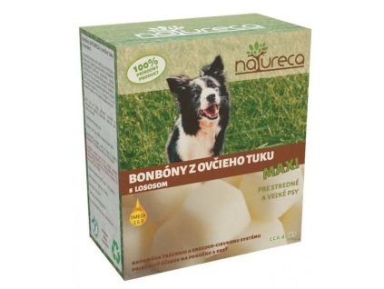 2b0394d0976c8a35fe77c9ea63582a47