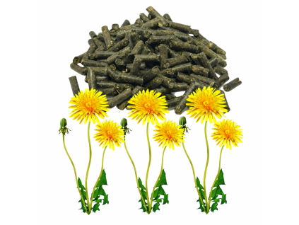 file 00000000746c722f81d68e6d5ed42b6c