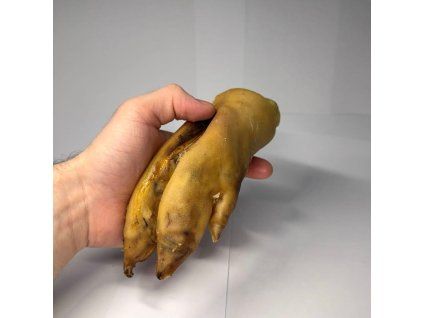 3208 veprova noha 1ks