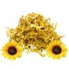550 2 okvetni listky slunecnice 20 g