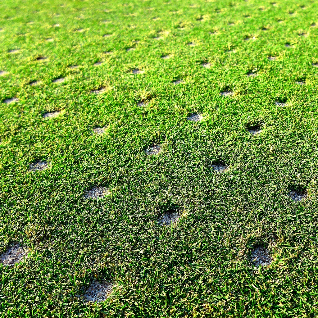 Jarní obnova trávníku