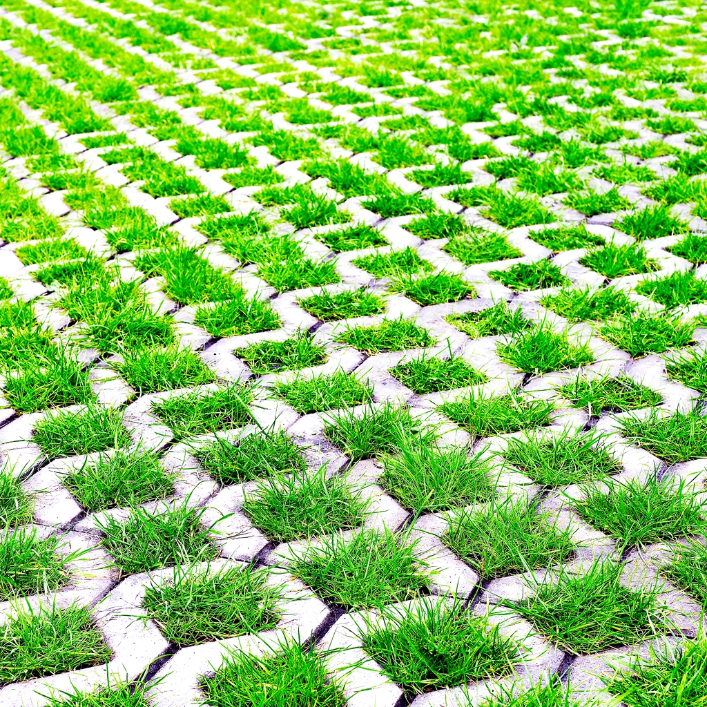 Parkovací trávníky