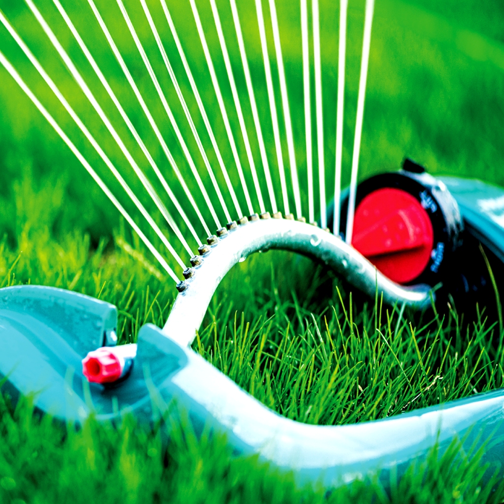 Péče o trávník – jaro