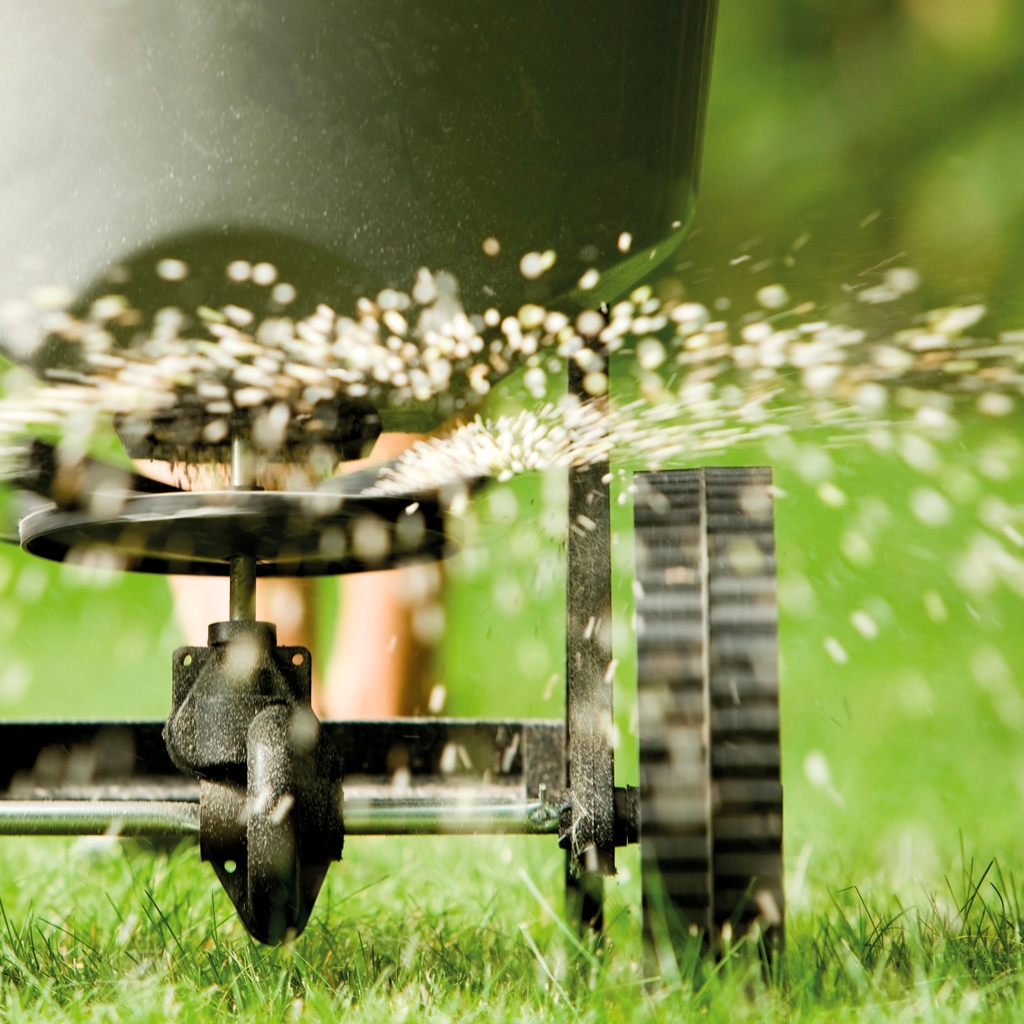 Výživa a hnojení trávníku