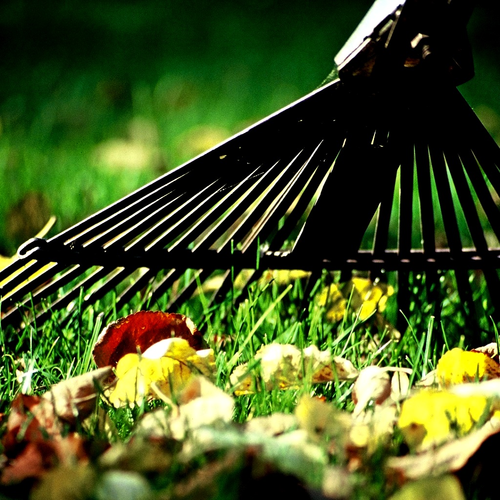 Péče o trávník – podzim