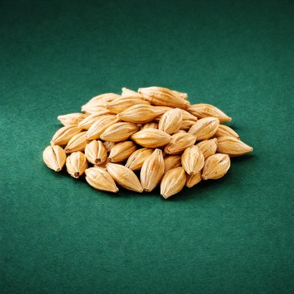 jecmen jarni velikonocni oseni