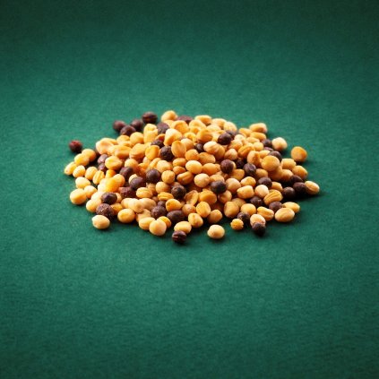 zelene hnojeni horcice+repka