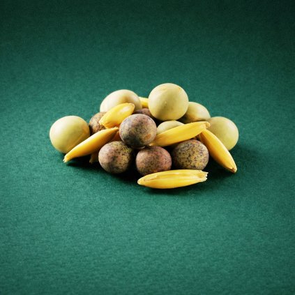 zelene hnojeni hrach+peluska+oves