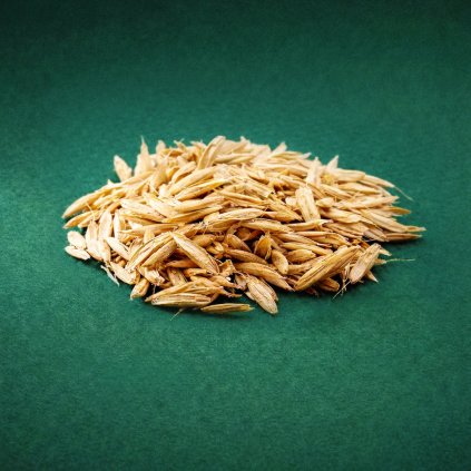 zelene krmeni jilek jednolety