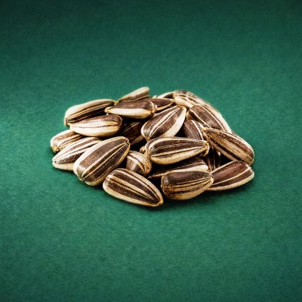 slunecnice prouzkovana