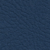 Pacific 10