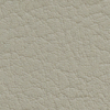 Pacific 19