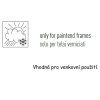 Plastová židle IRIS