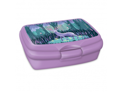 Lunch Box Midnight Wish