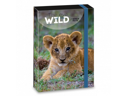 Document Box Lioness A4