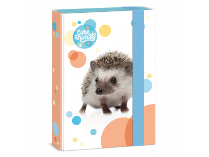 Document Box Cute Animals - Hedgehog A5