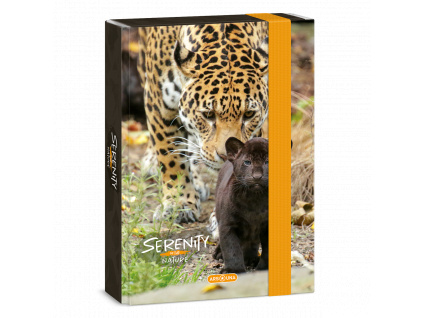 Ars Una Document Box Serenity Jaguar A5